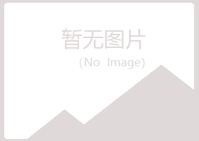 璧山县夏日金属有限公司